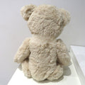 Personalised Teddy Bear with Little Sister T-Shirt
